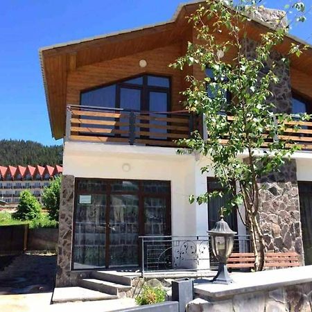 Cottage Sunny Side Bakuriani Εξωτερικό φωτογραφία